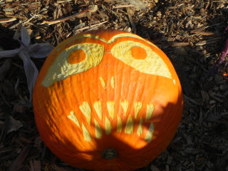 Shadows, Nipomo Pumpkin Patch best carving idea